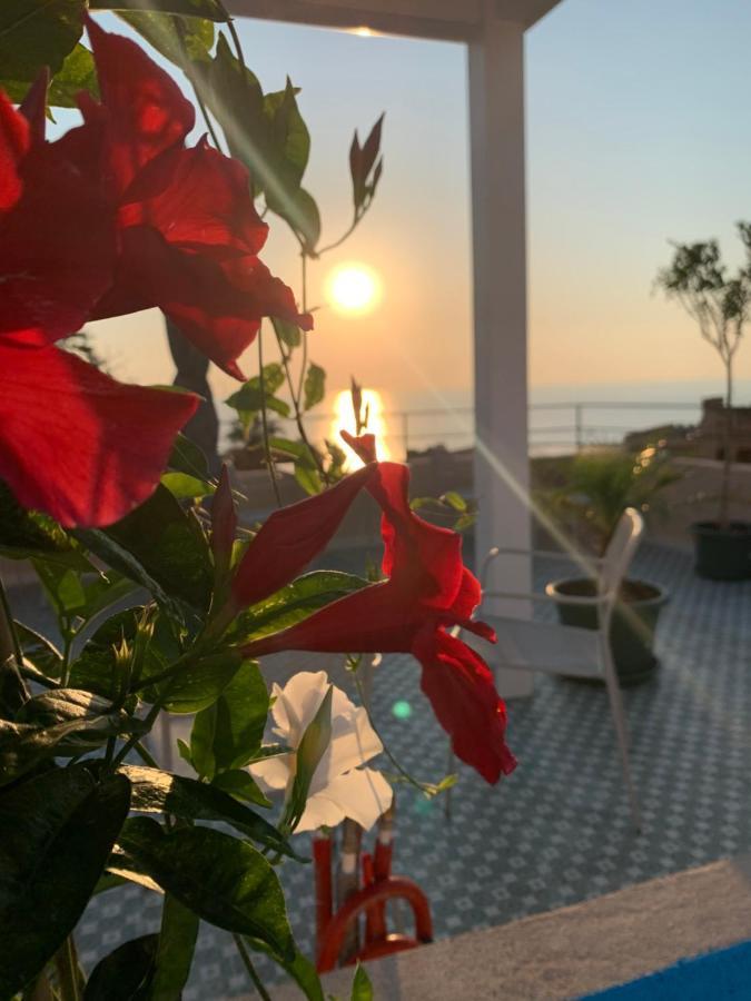 La Piazza Beb Bed & Breakfast โตรเปอา ภายนอก รูปภาพ